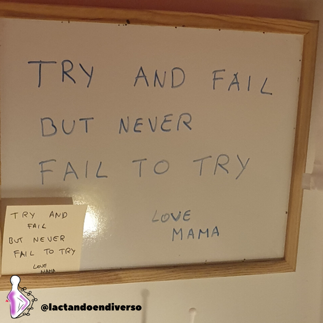 Fail and try, but never fail to try
